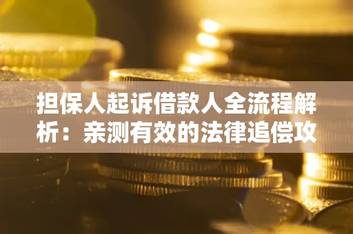 武汉担保人起诉借款人全流程解析：亲测有效的法律追偿攻略
