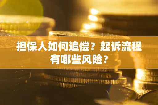 武汉担保人如何追偿？起诉流程有哪些风险？