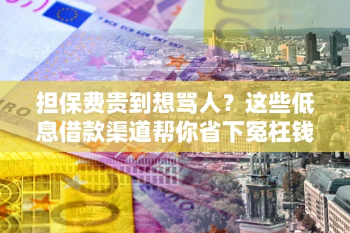 武汉担保费贵到想骂人？这些低息借款渠道帮你省下冤枉钱