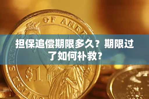 武汉担保追偿期限多久？期限过了如何补救？