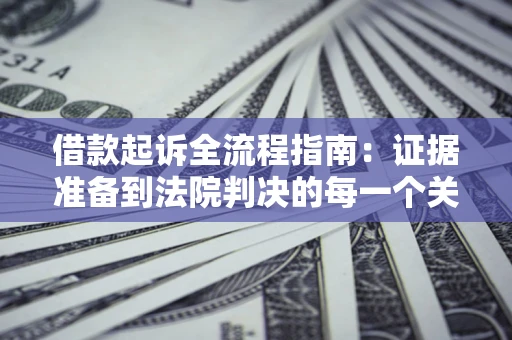 武汉借款起诉全流程指南：证据准备到法院判决的每一个关键步骤