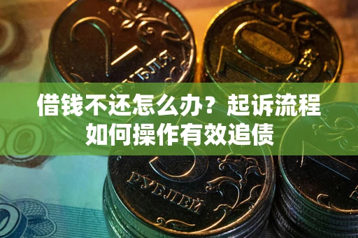 武汉借钱不还怎么办？起诉流程如何操作有效追债