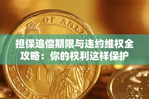 武汉担保追偿期限与违约维权全攻略：你的权利这样保护