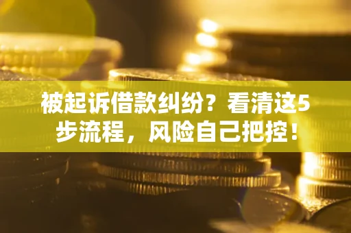 武汉被起诉借款纠纷？看清这5步流程，风险自己把控！