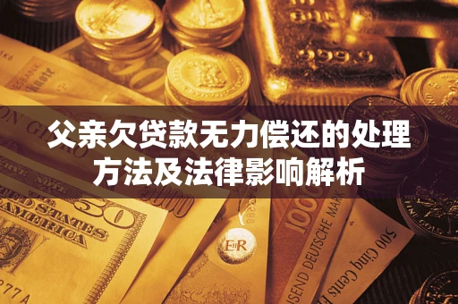 武汉父亲欠贷款无力偿还的处理方法及法律影响解析
